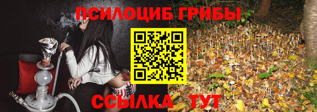 Мелеуз  Галлюциногенные грибы мицелий  Вход с VPN 