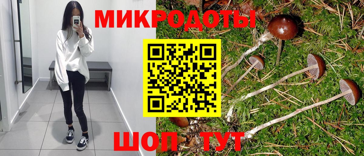 Псилоцибиновые грибы GOLDEN TEACHER Мелеуз
